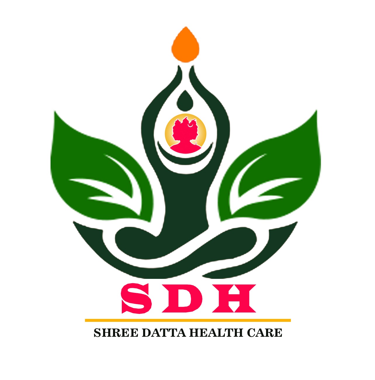 Shree Datta Healthcare Logo